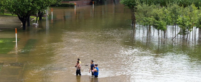 how do I recover my house from a flood