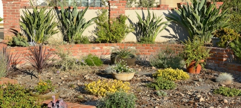 extreme weather drought landscaping plans