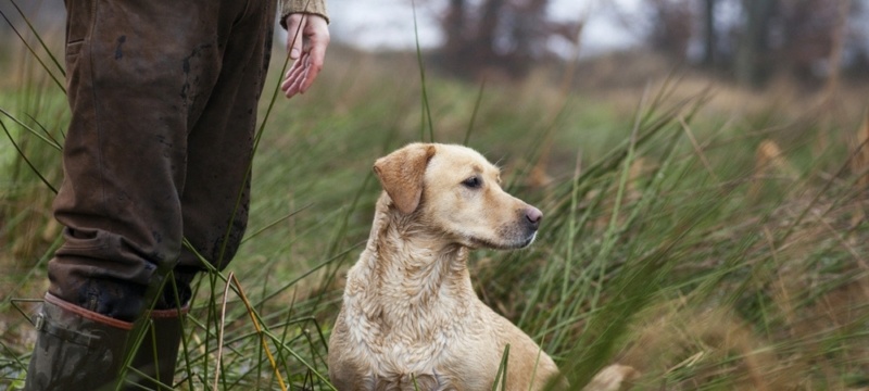 hunting insurance policy protect hunters and landowners