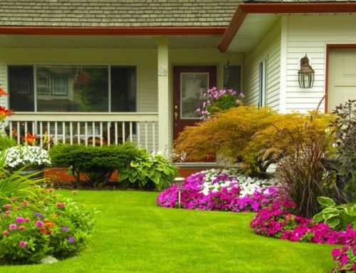 Ep. 29: Landscaping and Your Property Appraisal