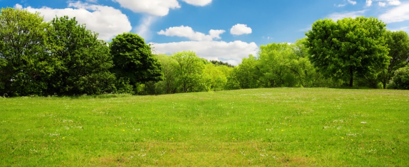 how easy is it to finance a vacant land purchase