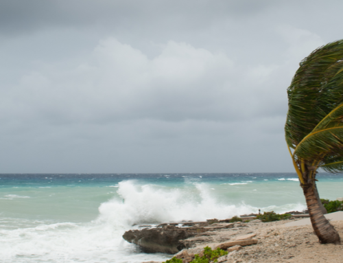 Peak Hurricane Season 2019: Are You Prepared?