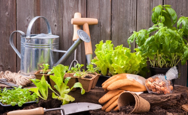Top 5 DIY Home Projects: 3. Installing or Enhancing a Garden