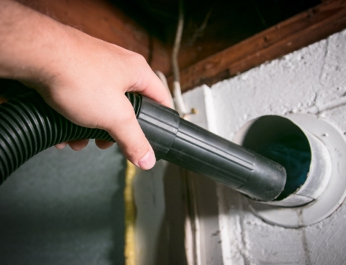 Do You Have a Bird Nest in Your Dryer Vent?