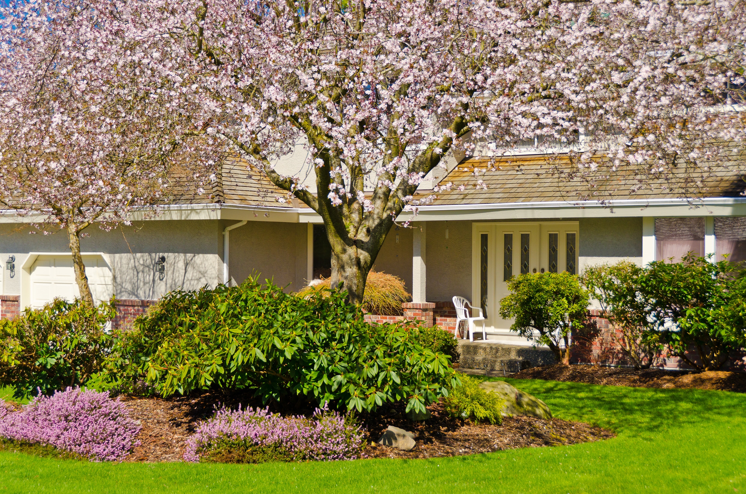 Falling trees can cause property damage