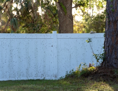 Neighbor Problems: Dirty Fences