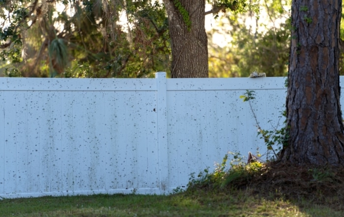 Plenty of people have neighbor problems, but a dirty fence shouldn't be a deal-breaker