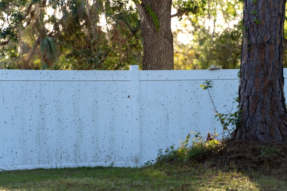 Plenty of people have neighbor problems, but a dirty fence shouldn't be a deal-breaker