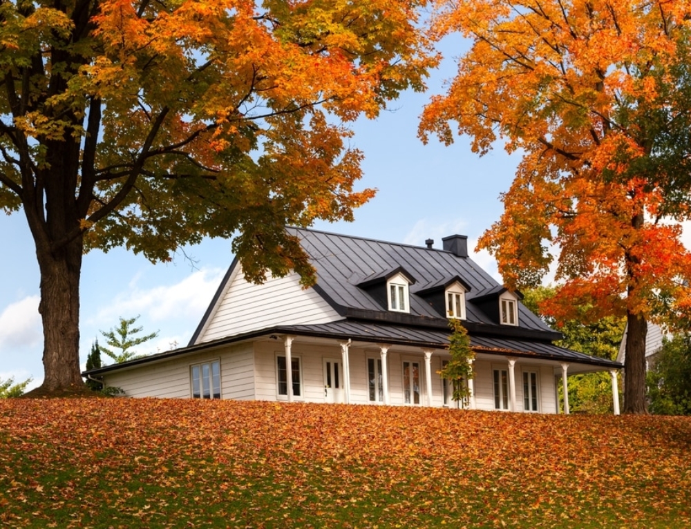 How To Transfer Utilities From Seller To Buyer How to Transfer Utilities from Seller to Buyer | ThinkGlink