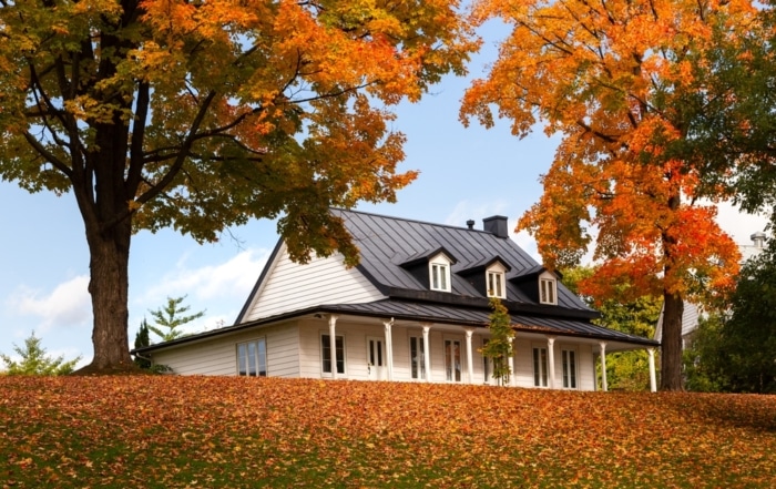 House located on a large property with beautiful trees in full fall colors