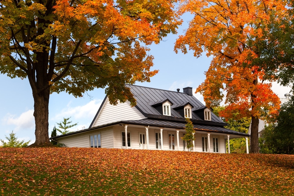House located on a large property with beautiful trees in full fall colors